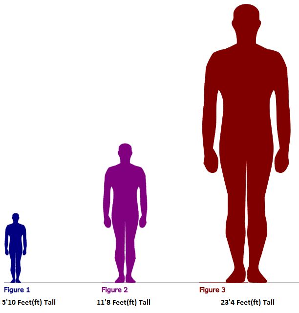 1 3 Compared To 1 4