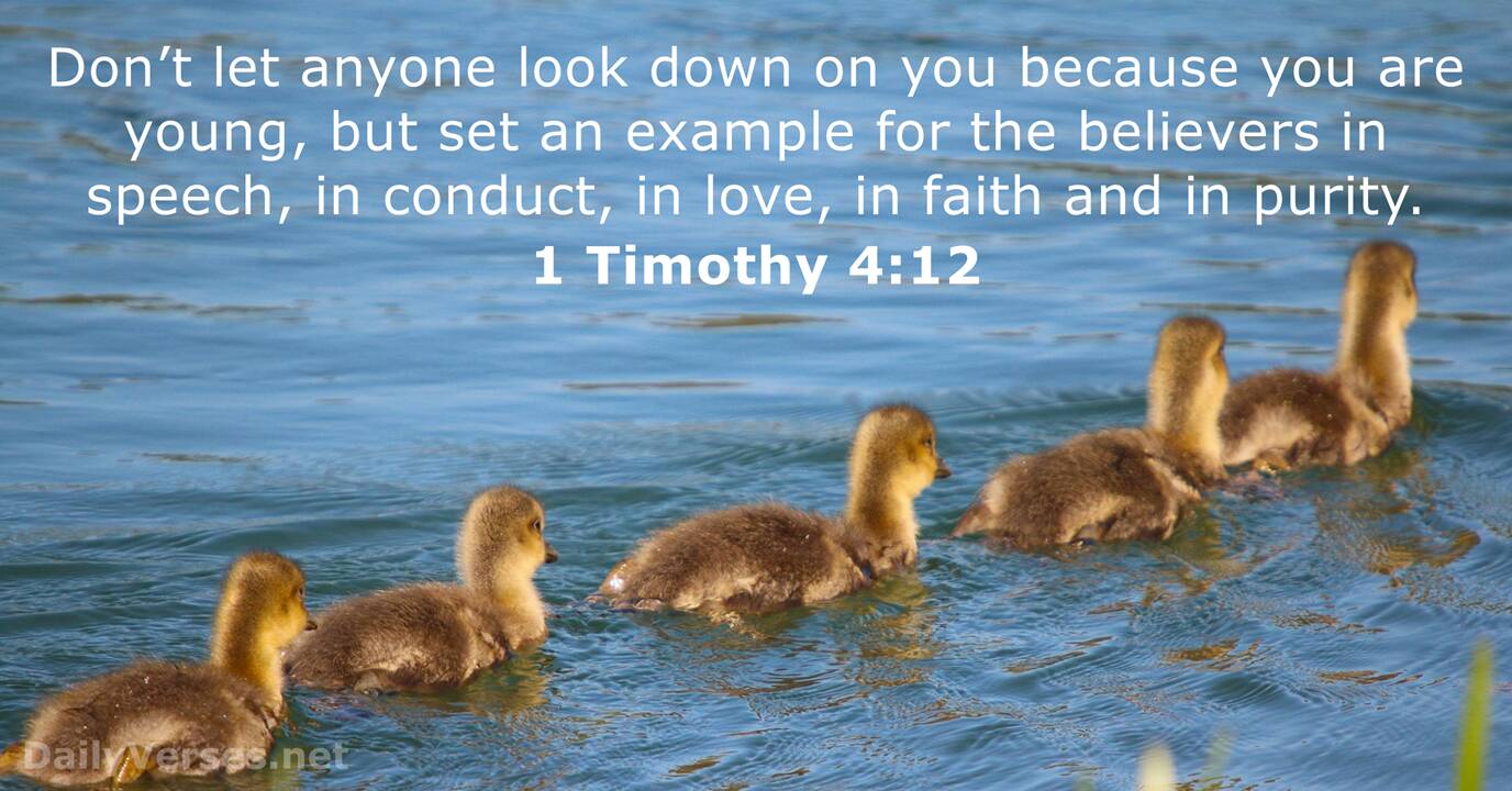1 Timothy 4 6 16