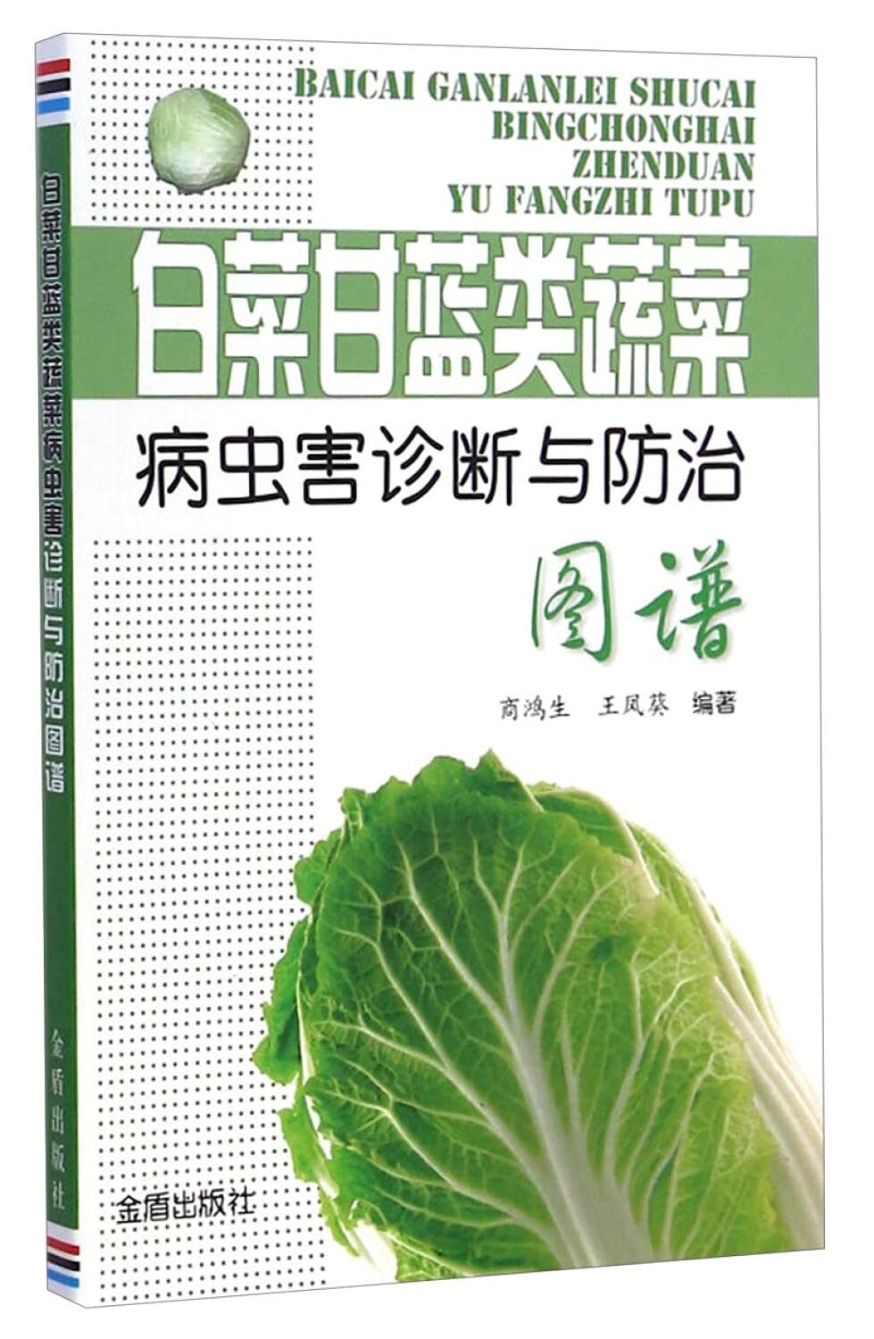 10+ Cabbage Diseases Photos For Easy Diagnosis