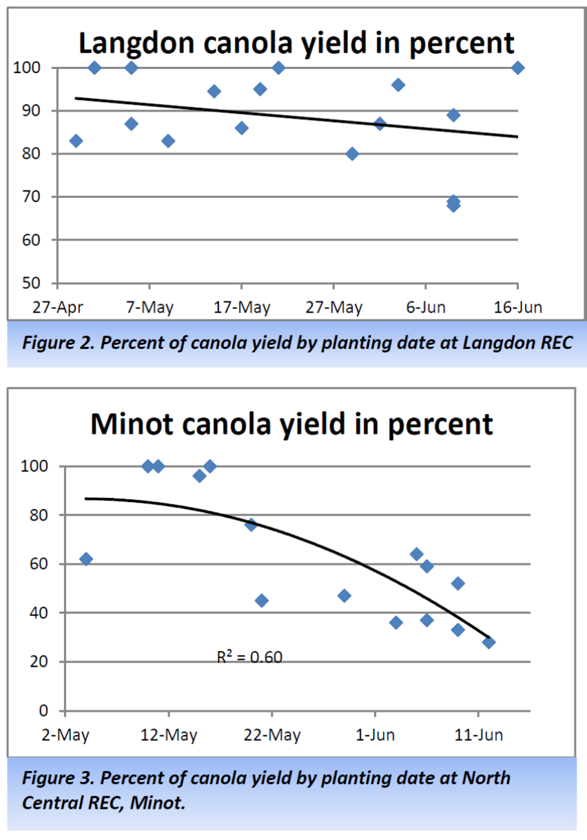 10 Canola Planting Depth Tips For Better Yields