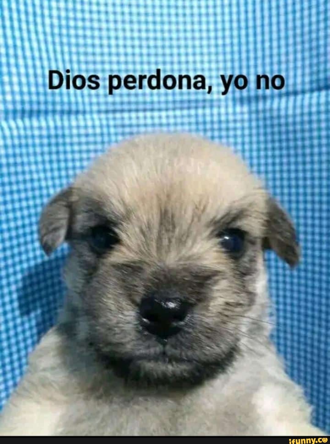 10+ Dios Perdona Secrets To Forgiveness