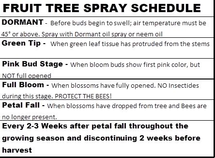 10+ Essential Spray Schedules For Healthy Trees