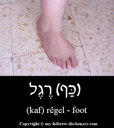 10 Hebrew Foot Phrases For Easy Conversations