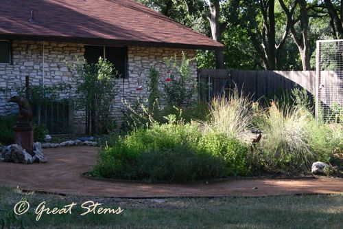 10+ Ivy Kill Tips For A Weedfree Garden