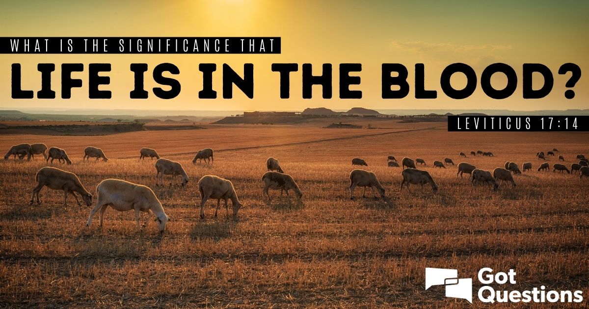 10 Leviticus Blood Rituals Revealed