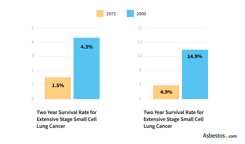 10 Lung Cancer Prognosis Tips For Dogs