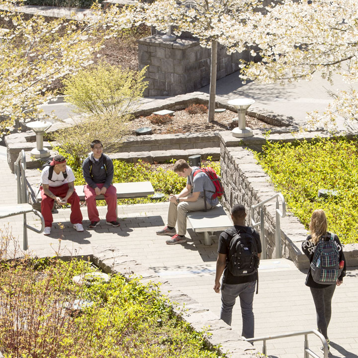 10 Wsu Jobs That Pay Your Tuition