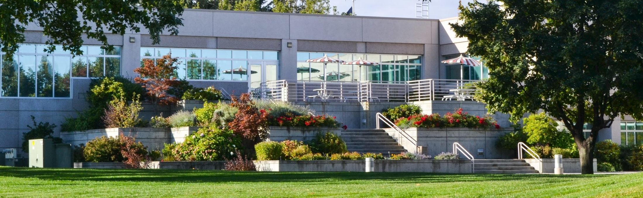 10 Wsu Registrar Office Tips For Easy Registration