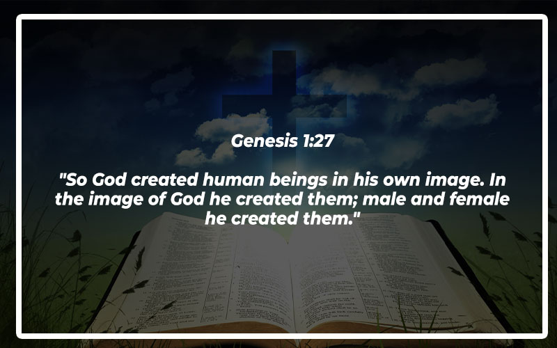 11 Bible Verses About Equality What Does The Bible Say About Equality 11 Bible Verses About Equality What Does The Bible Say About Equality