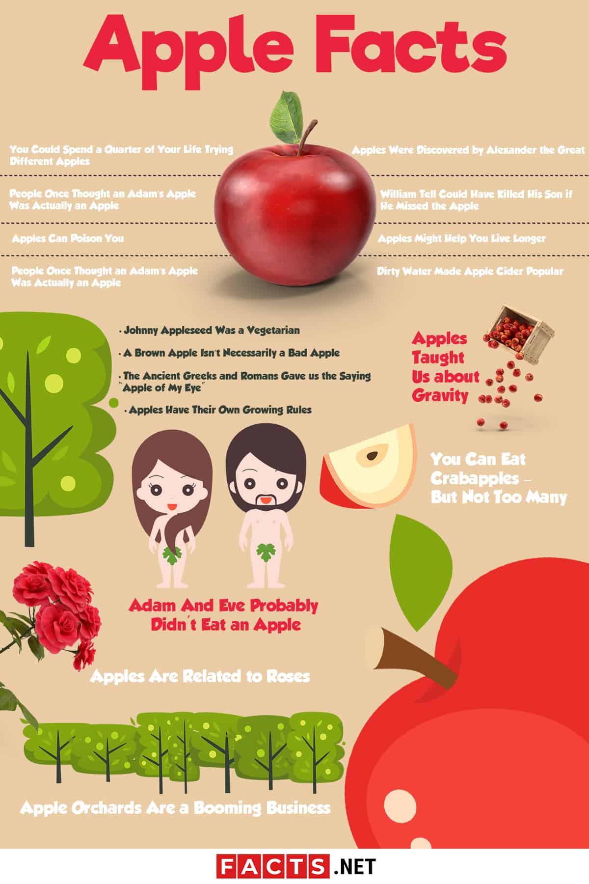 12 Apple Facts Revealing Why It's Red