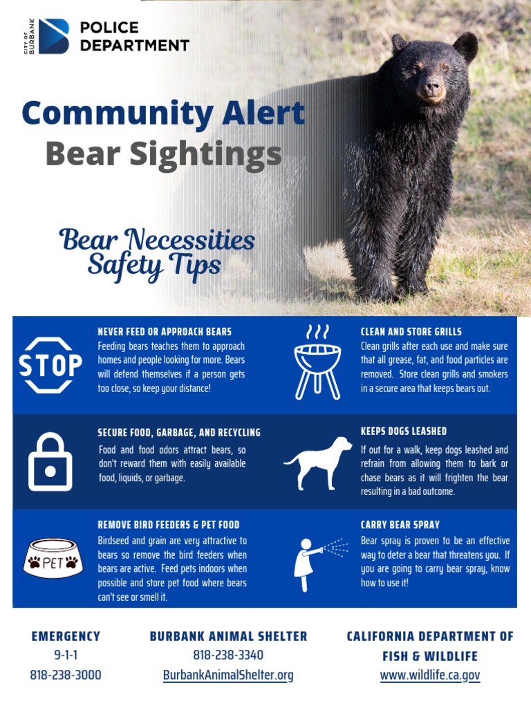 12+ Bear Safety Tips From Expert Rangers