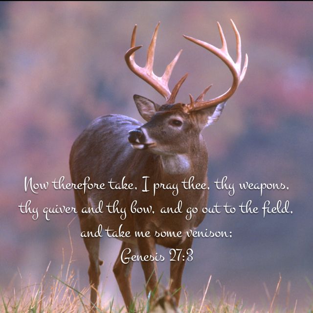 12 Bible Quotes About Hunting For Wisdom