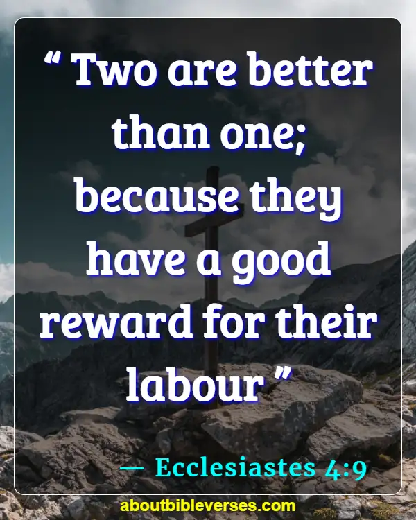 12 Bible Quotes On Working Together For Unity