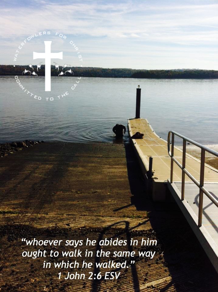 12+ Bible Verses About Hunting For Wisdom 12+ Bible Verses About Hunting For Wisdom