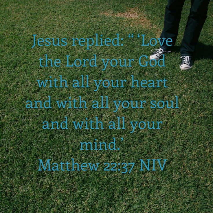 12 Biblia Verses That Bring Hope