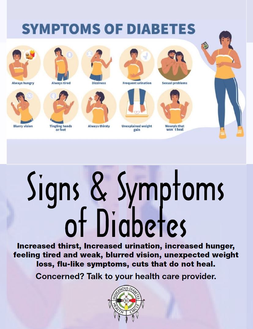 12 Diabetes Signs In Animals You Must Know