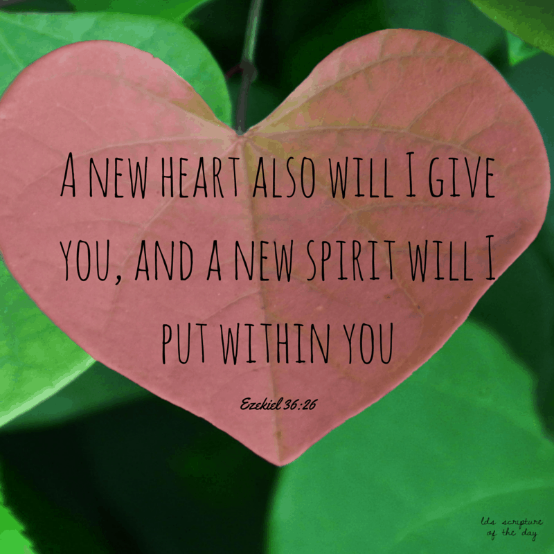 12 Ezekiel 36 Insights For Deeper Understanding