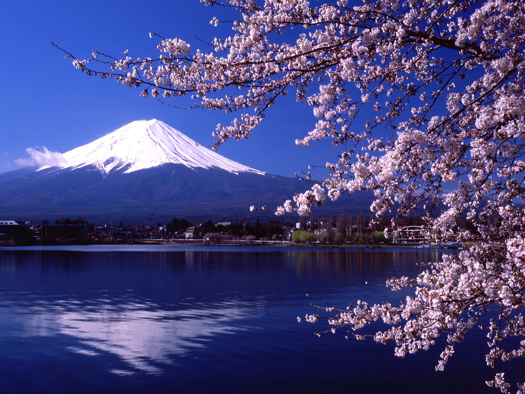 12+ Japan Insights Uncovered