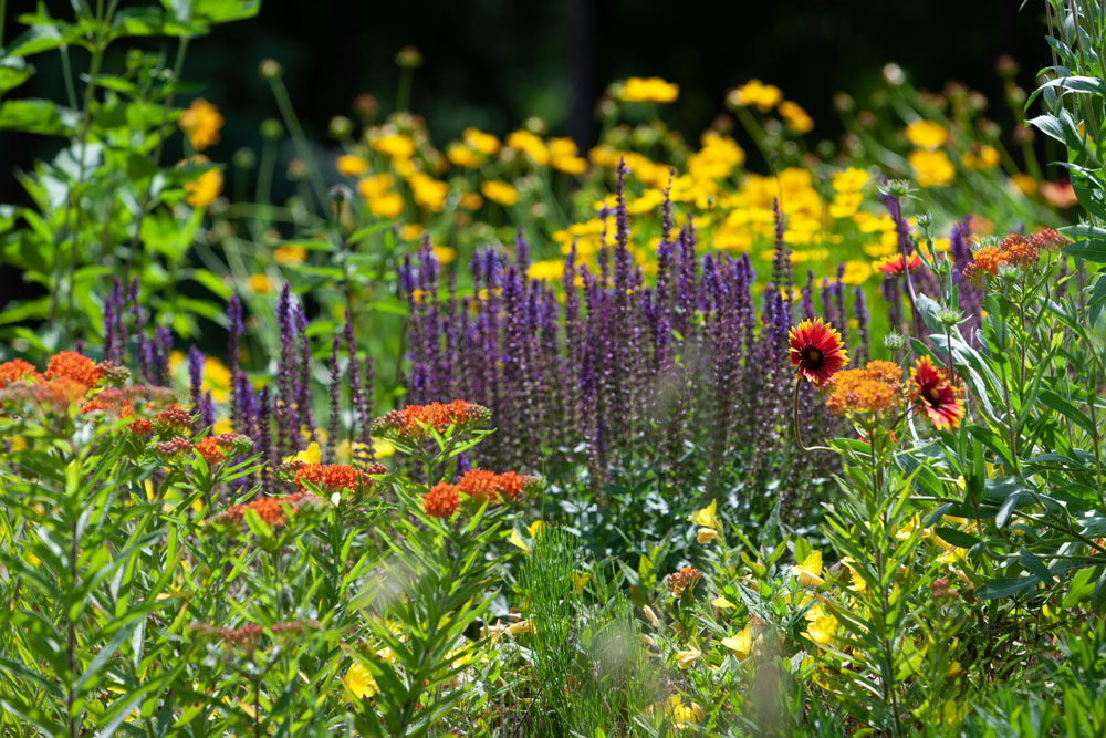12+ Leach Field Designs For Beautiful Yards