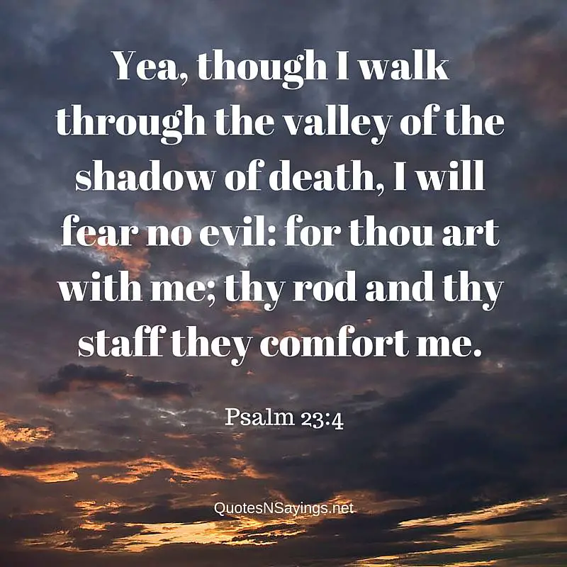 12 Pregnancy Scriptures For Comfort