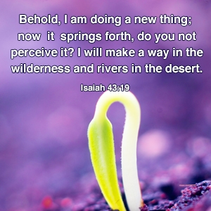 12+ Unlocking Isaiah 49 16 Meaning For Deeper Faith