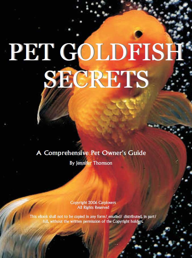 12+ Vet Med Hub Secrets For Pet Owners