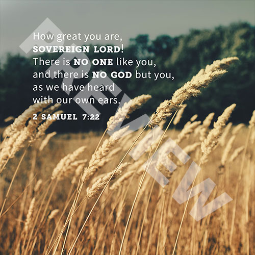 2 Samuel 7 114A