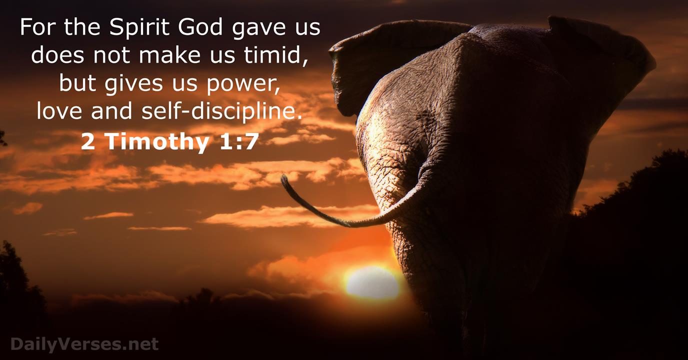 2 Timothy 1 7 2 Timothy 1 7