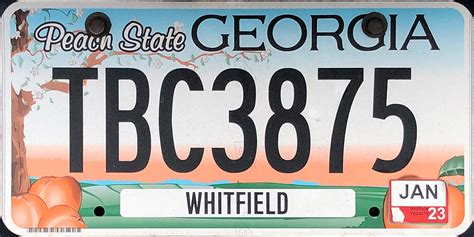 2024 Georgia Tag Sticker Color 2024 Georgia Tag Sticker Color