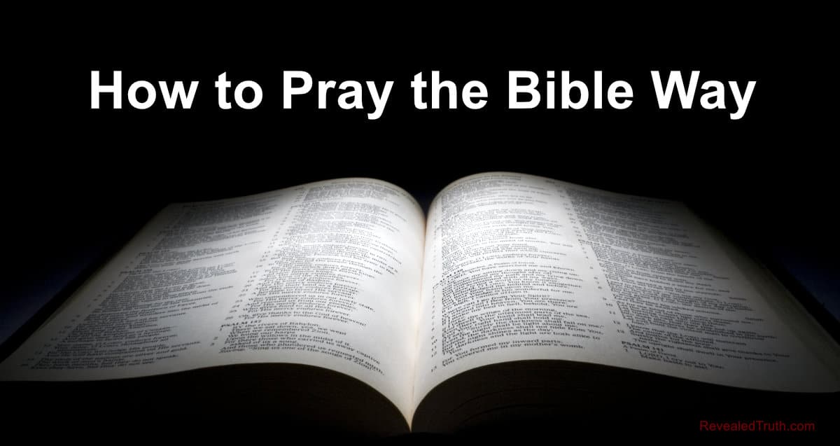 41 Meaning In Bible Revealed