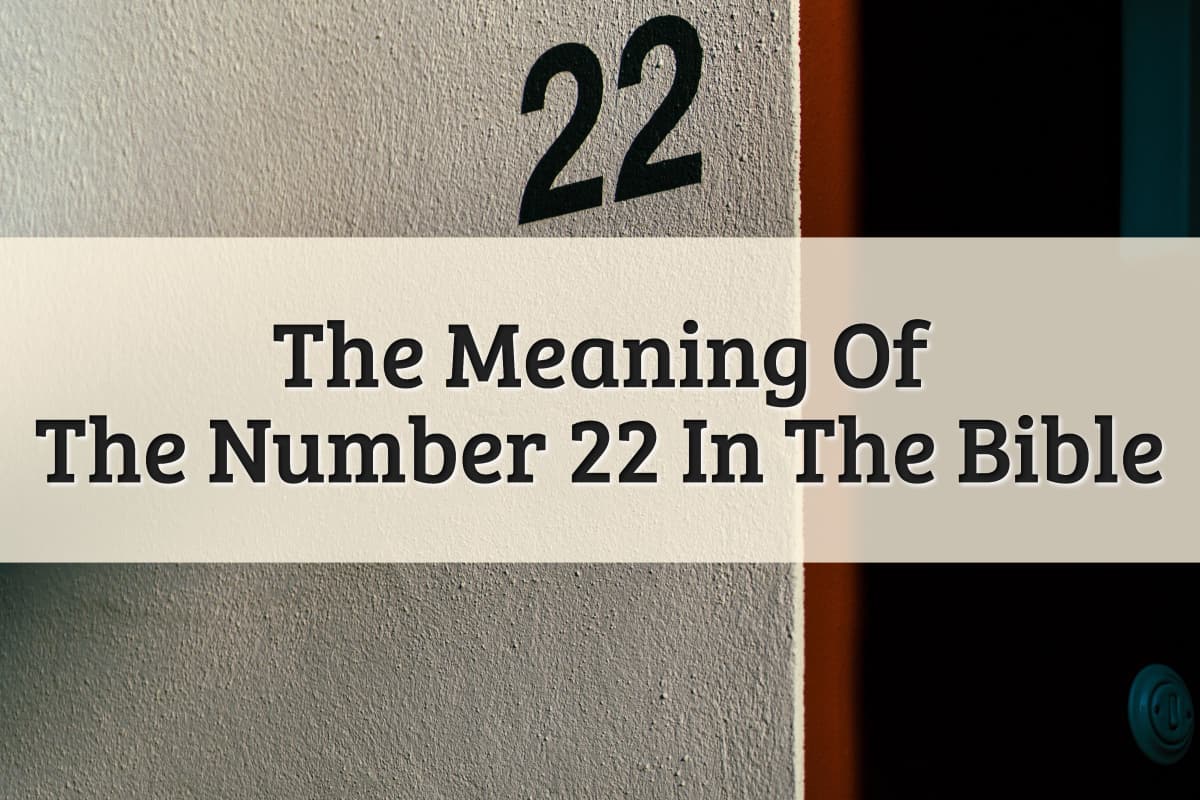 41 Meaning In The Bible