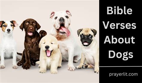7 Dogs Bible Verses To Stay Safe