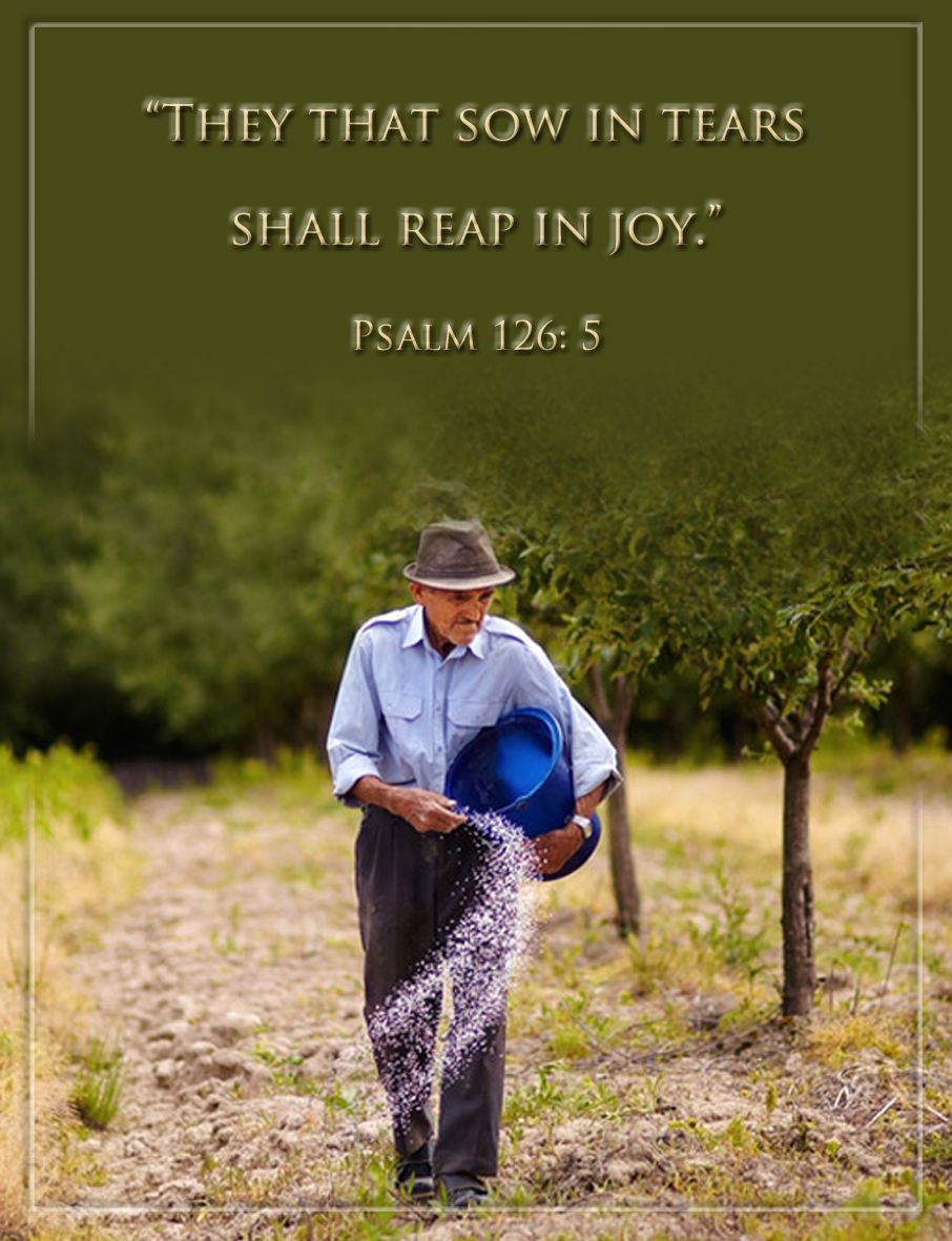 9 Psalm 52 Insights For Spiritual Growth