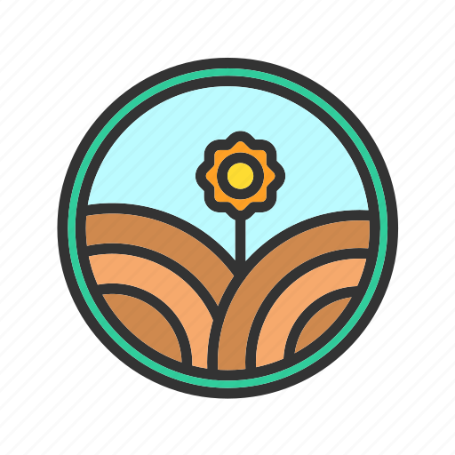 Amazon Producers: Discover Sustainable Farming Methods