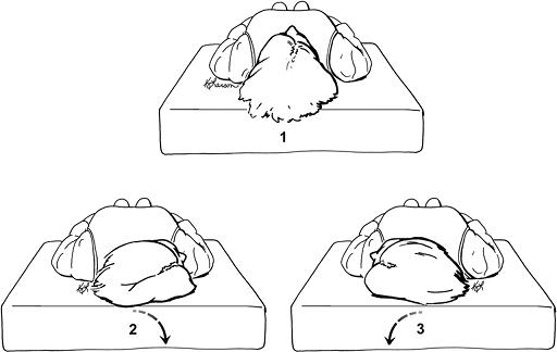 Bbq Roll Test