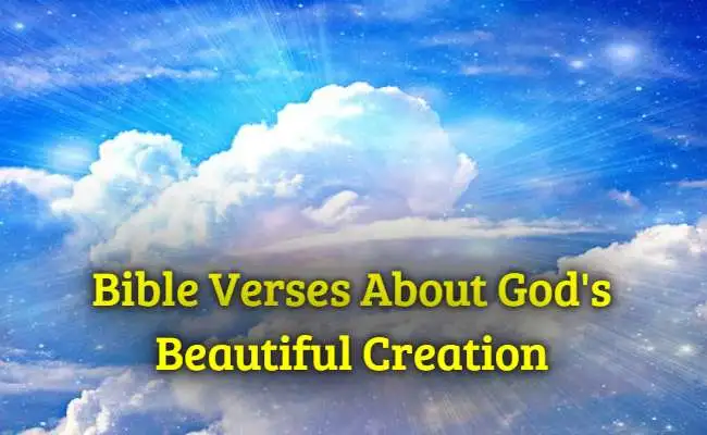 Beautiful Creation Bible Verse