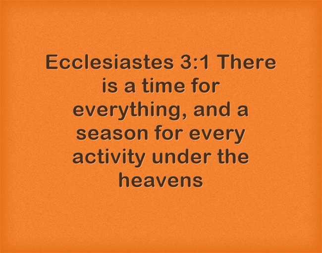 Bible Quotes About Timing