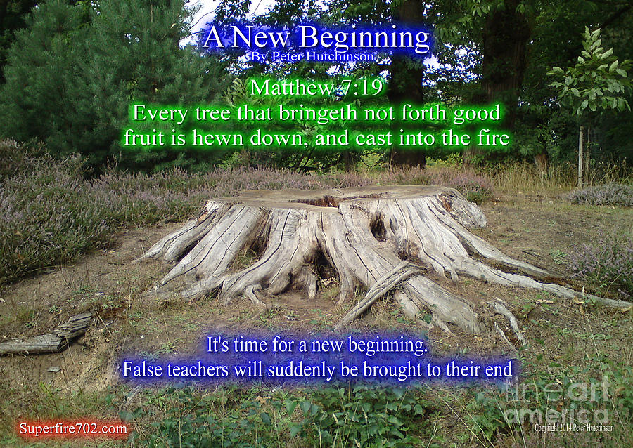Bible Verse About New Beginning