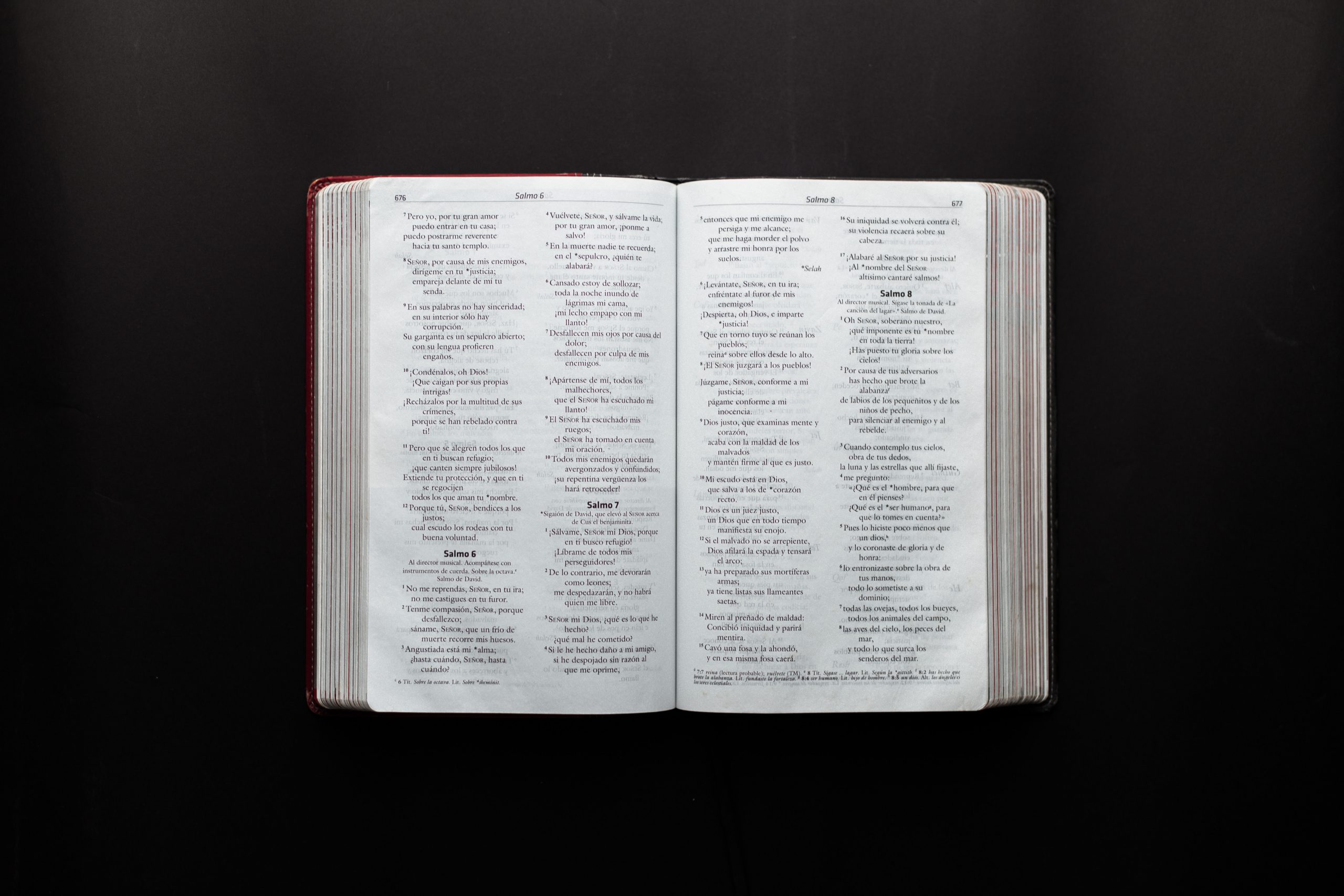 Biblical Accountability Verses