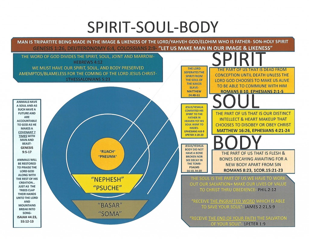 Chart Spirit Soul Body Precious Faith Bible Church Chart Spirit Soul Body Precious Faith Bible Church