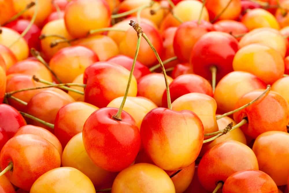 Cherries Guide: Types & Uses