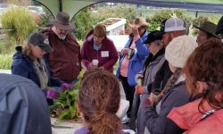 Clark County Master Gardeners Clark County Master Gardeners
