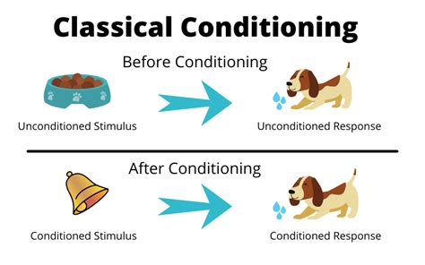 Conditioning Definition Psychology Conditioning Definition Psychology