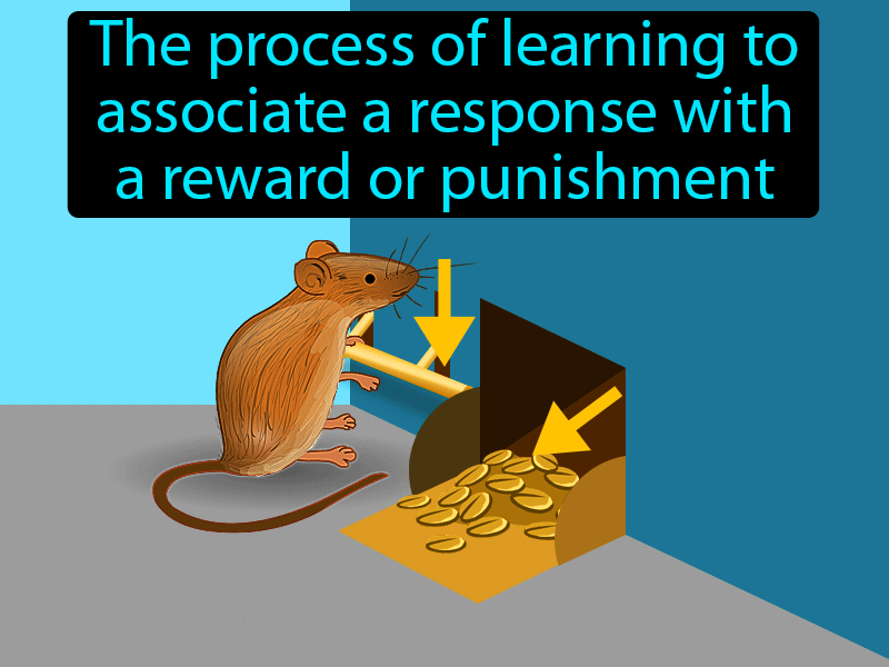 Conditioning Definition Science At Marshall Mcdonald Blog Conditioning Definition Science At Marshall Mcdonald Blog