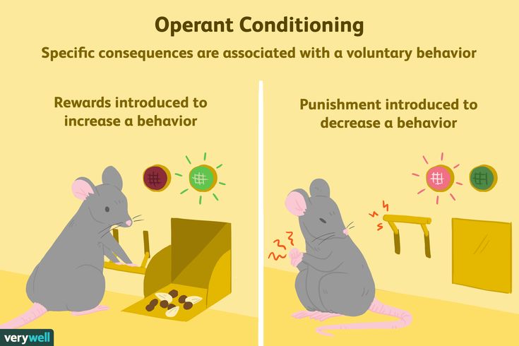 Conditioning In Psychology