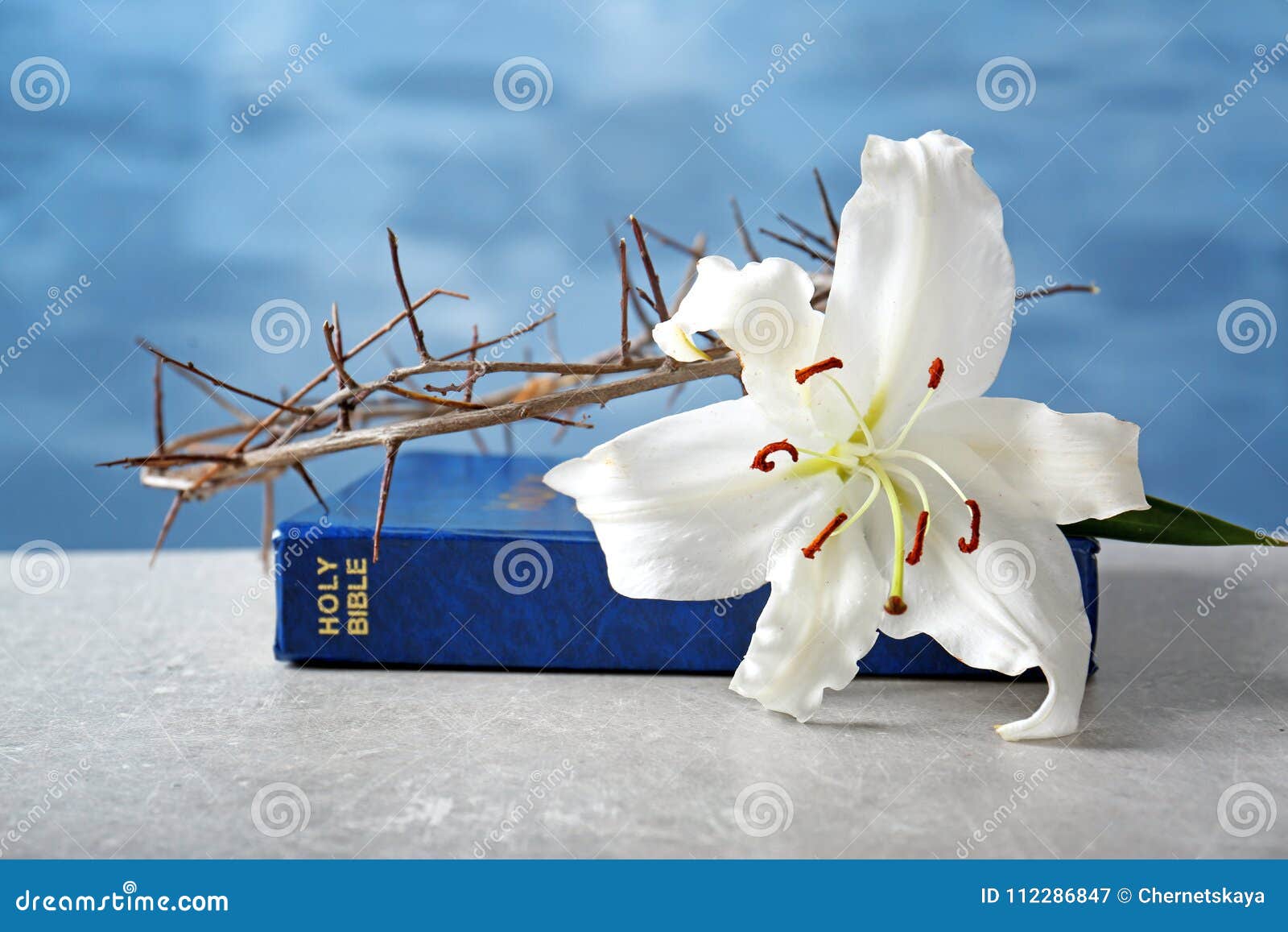 Corona De Espinas Biblia