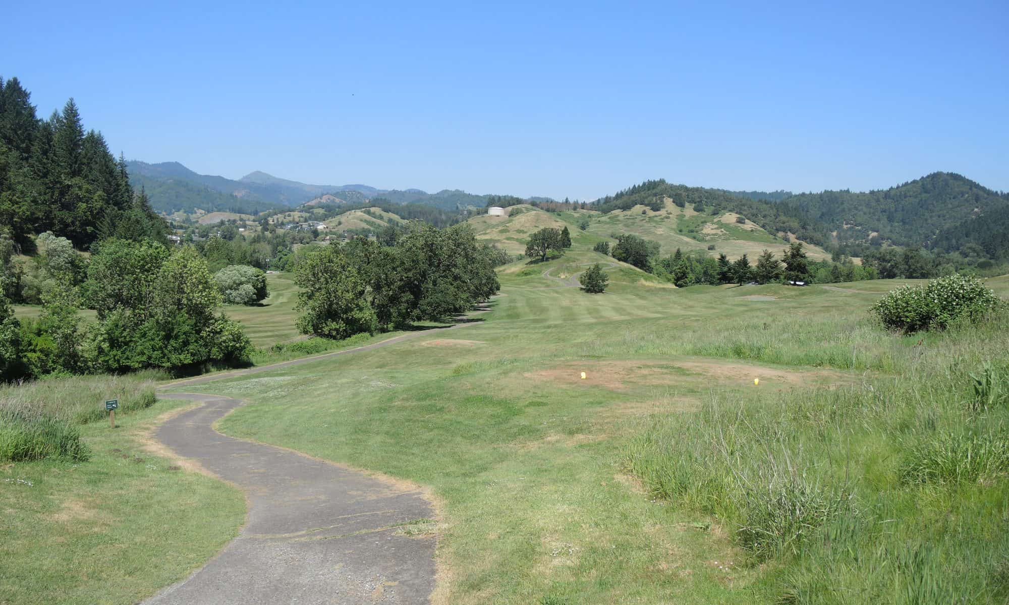 Cougar Classic Golf: Mastering Course Challenges