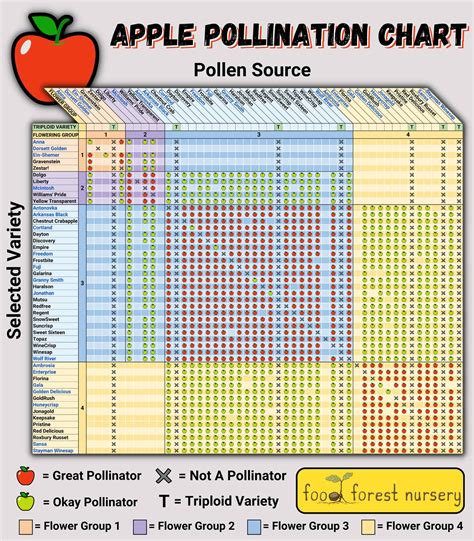 Crabapples: Boost Apple Tree Pollination Naturally