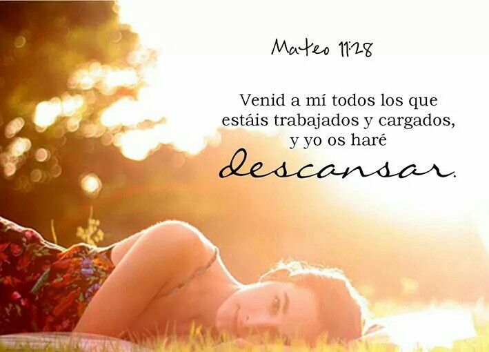 Deja Tus Cargas A Dios: Libera Tu Estrés