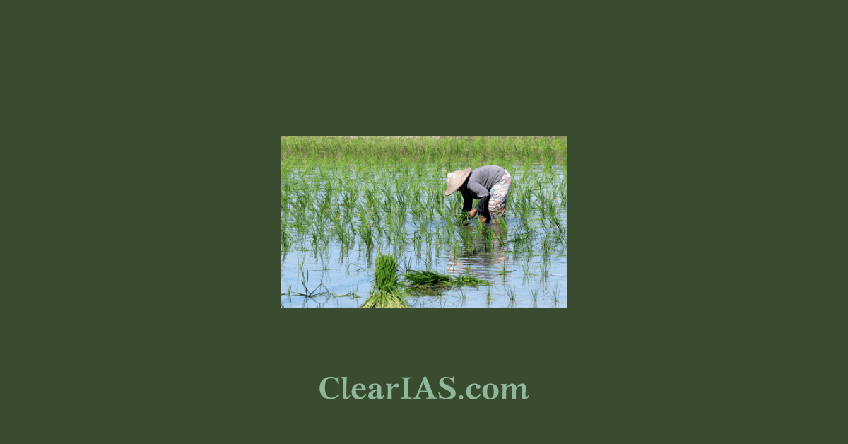 Direct Seeding Definition